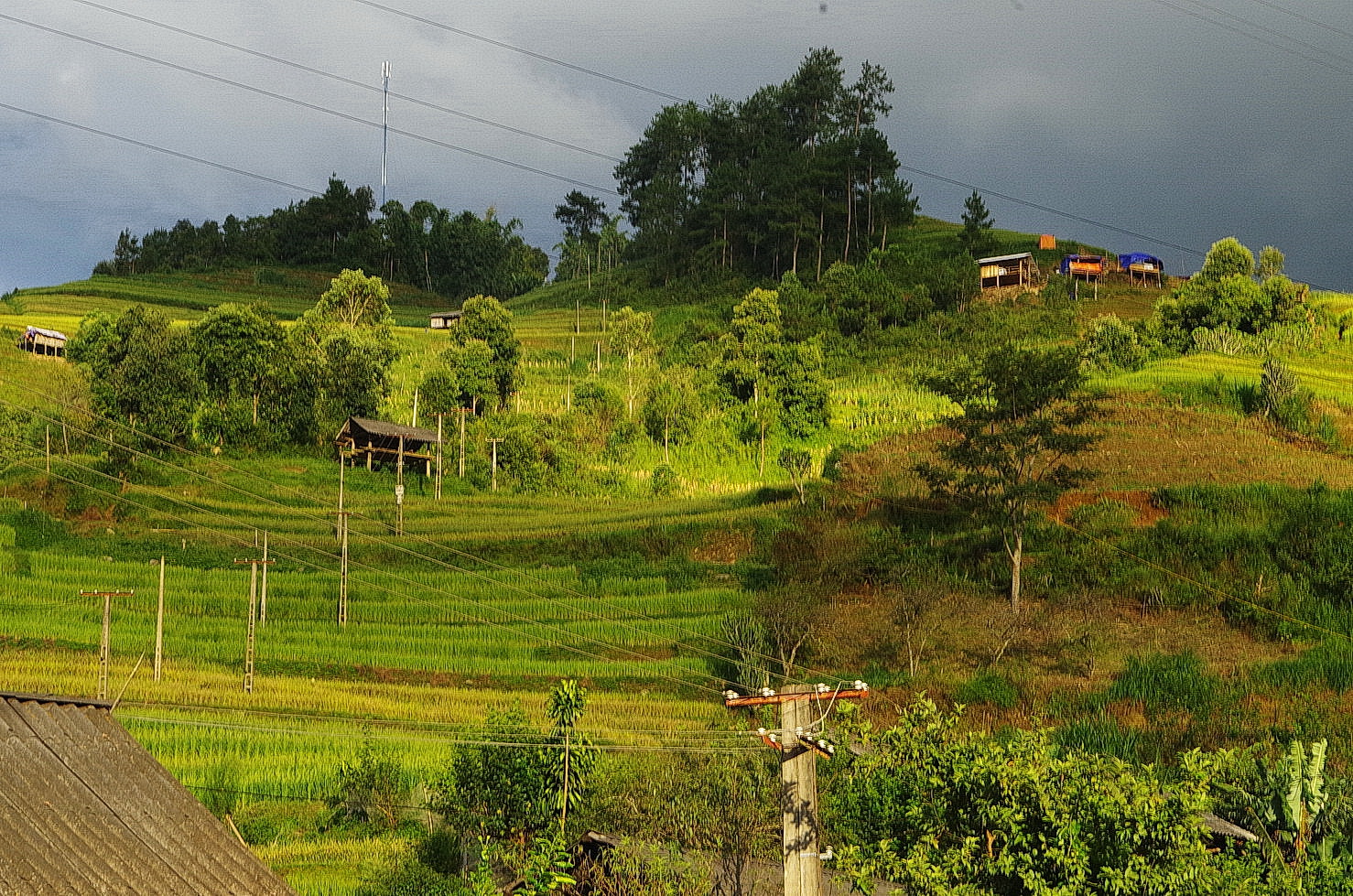 IMGP3555.JPG