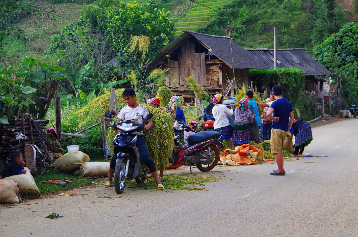 IMGP3592.JPG