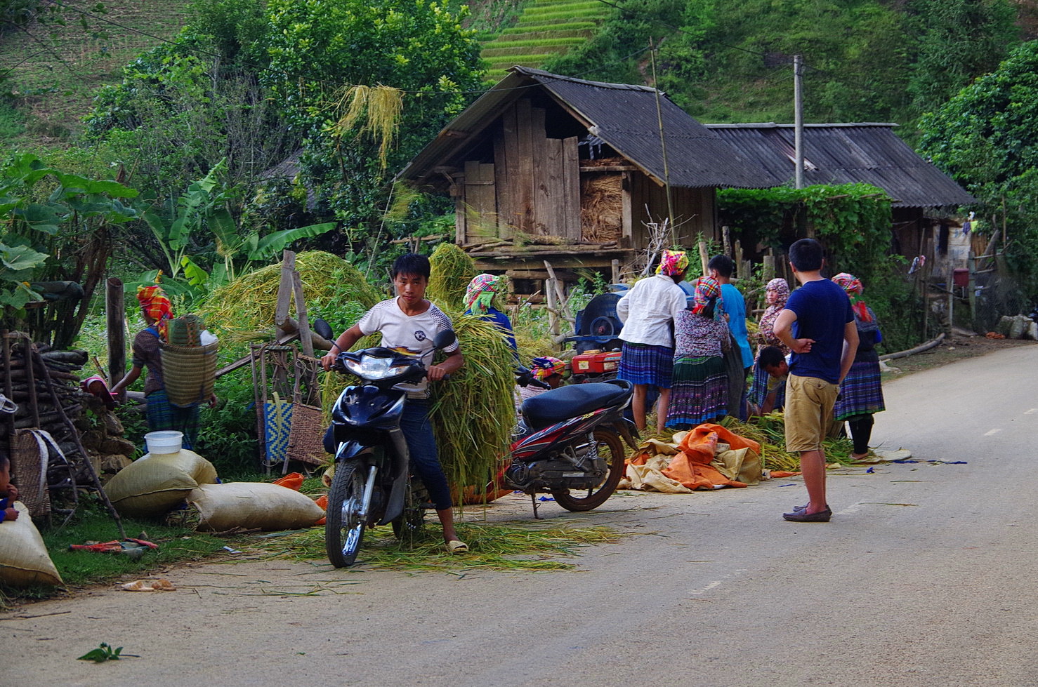 IMGP3593.JPG