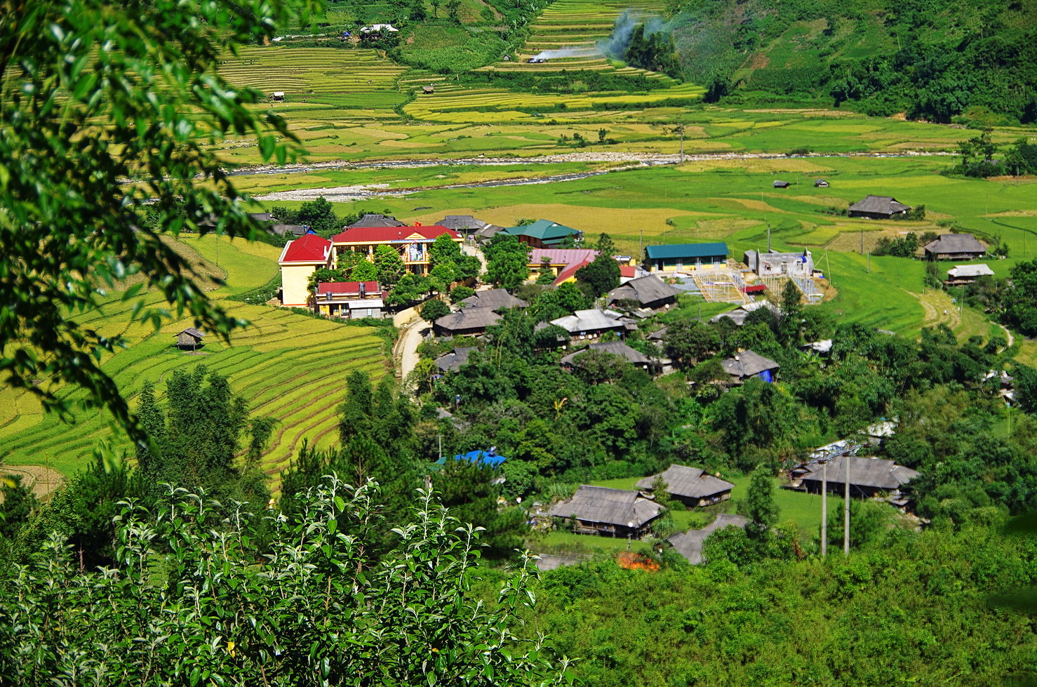 IMGP4112.JPG