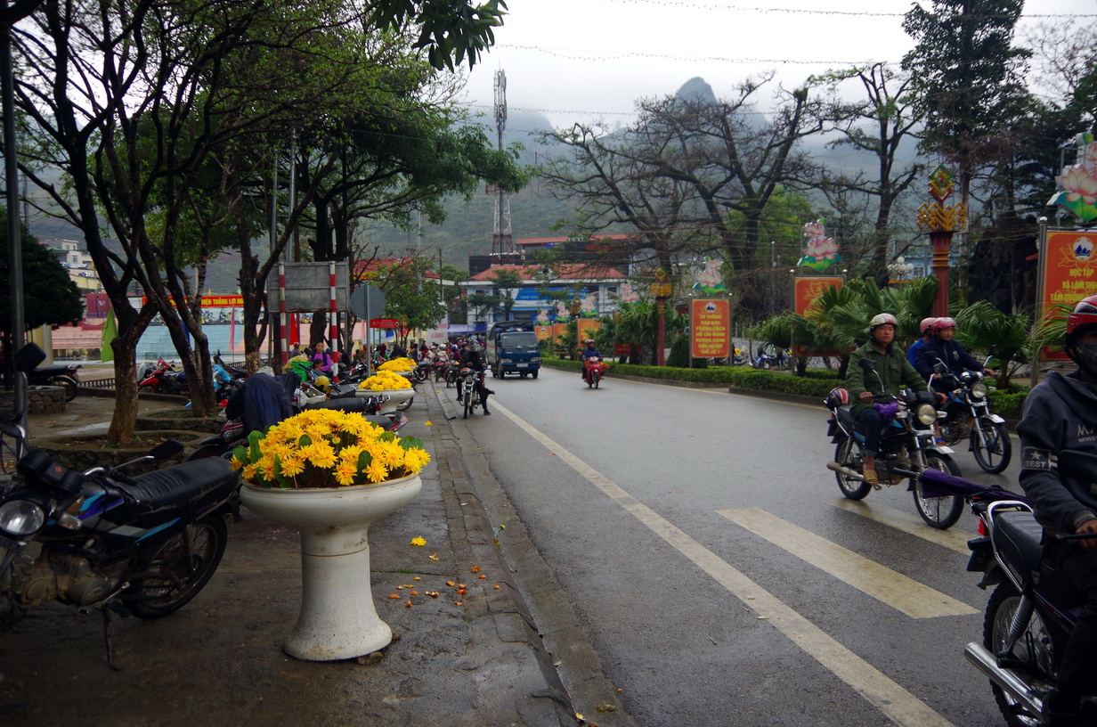 IMGP4159.JPG