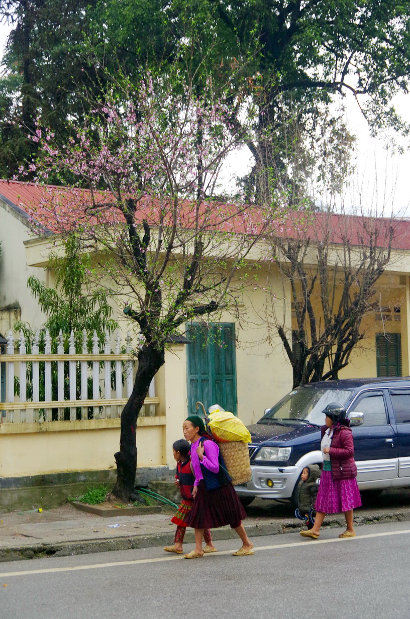 IMGP4168.JPG