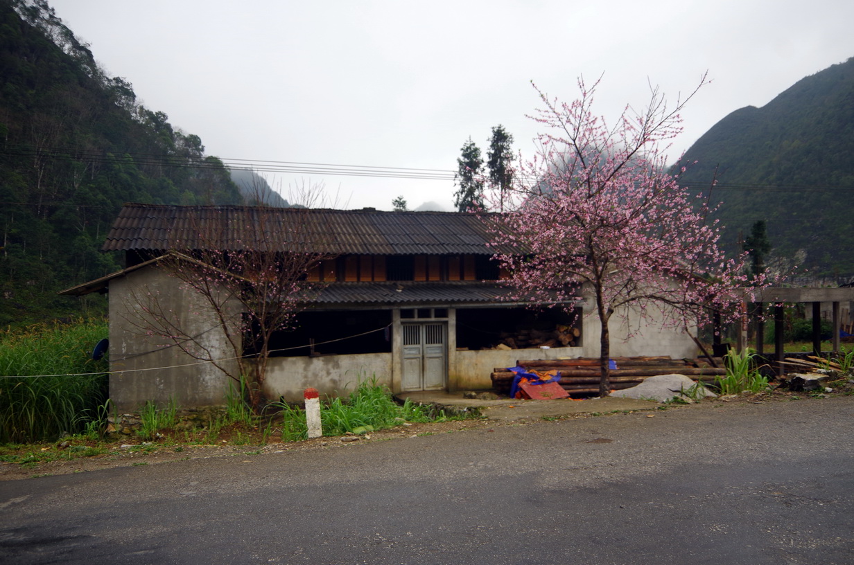 IMGP4237.JPG