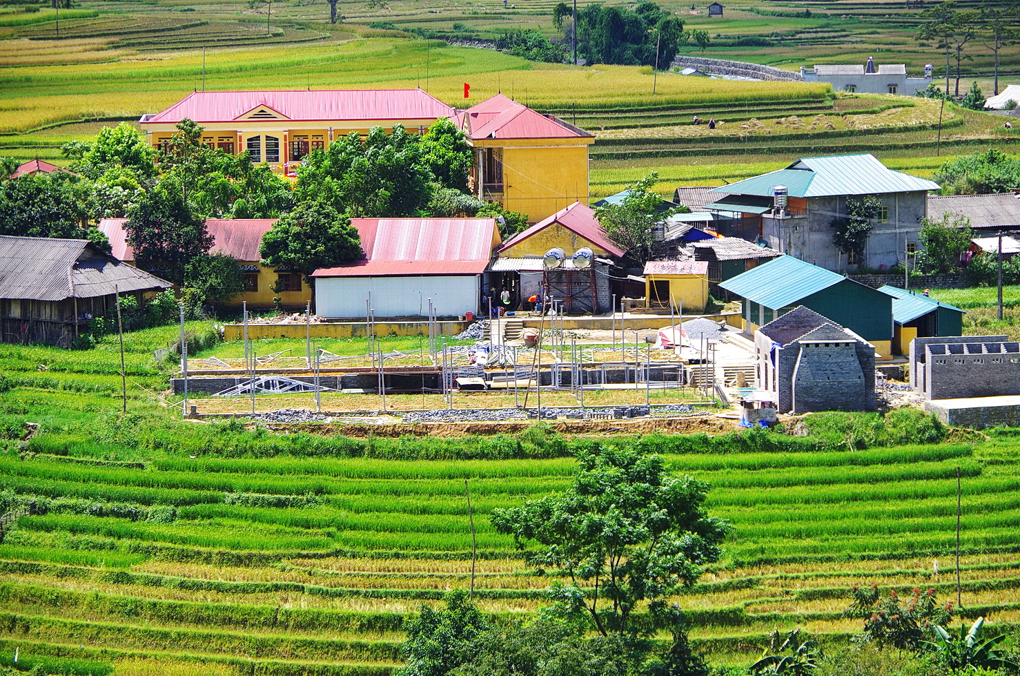 IMGP4301.JPG