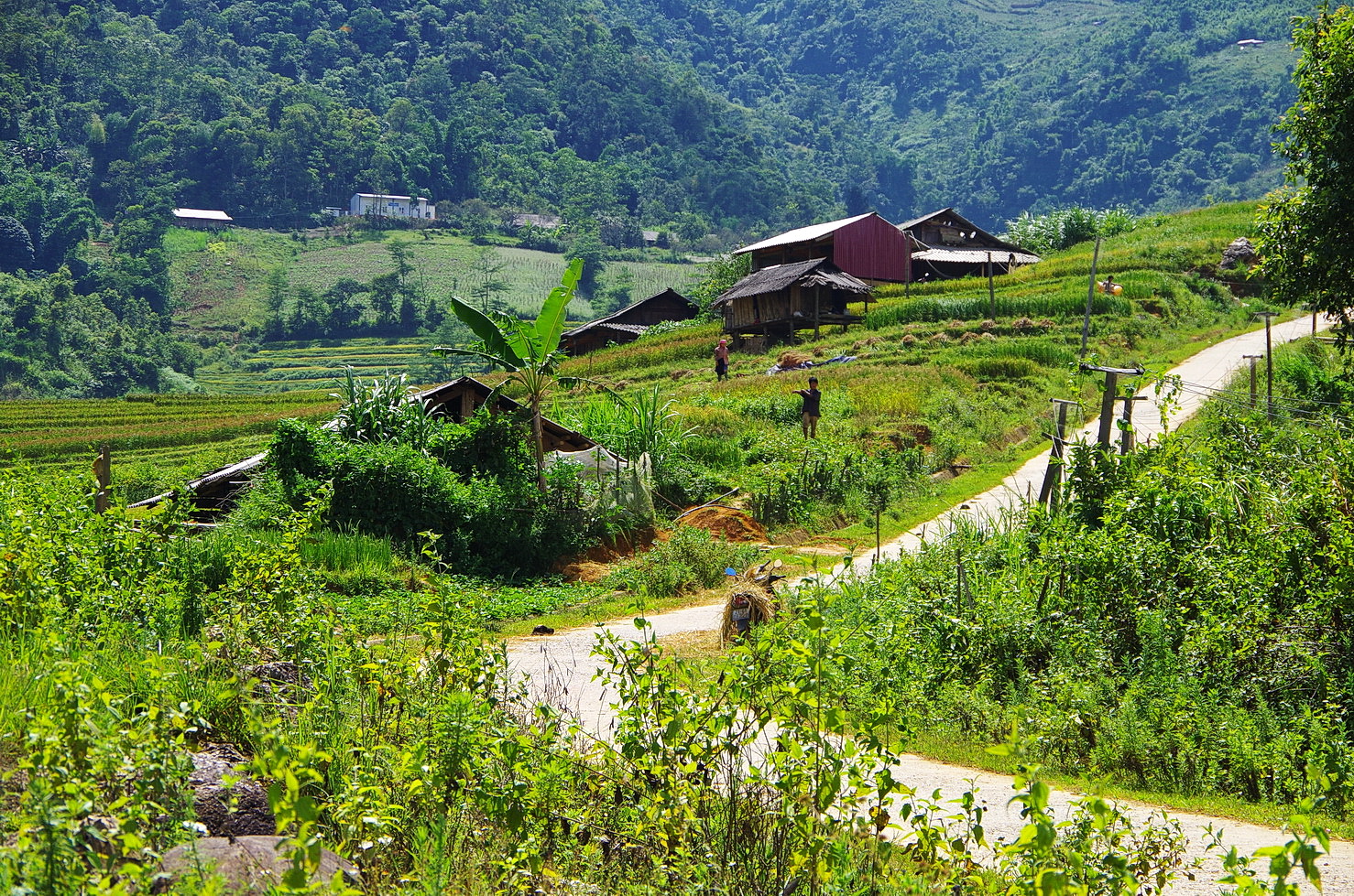 IMGP4403.JPG