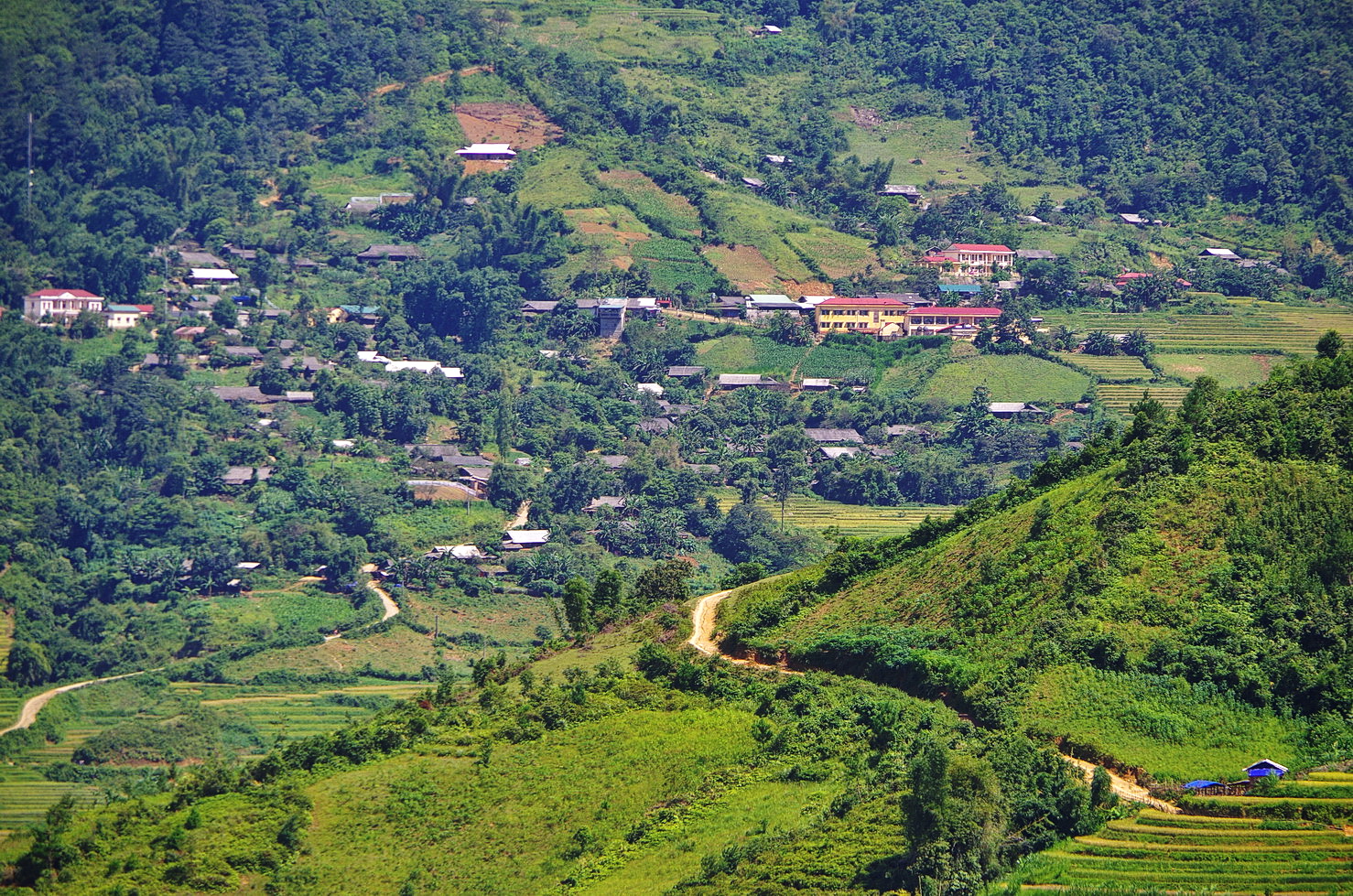 IMGP4450.JPG
