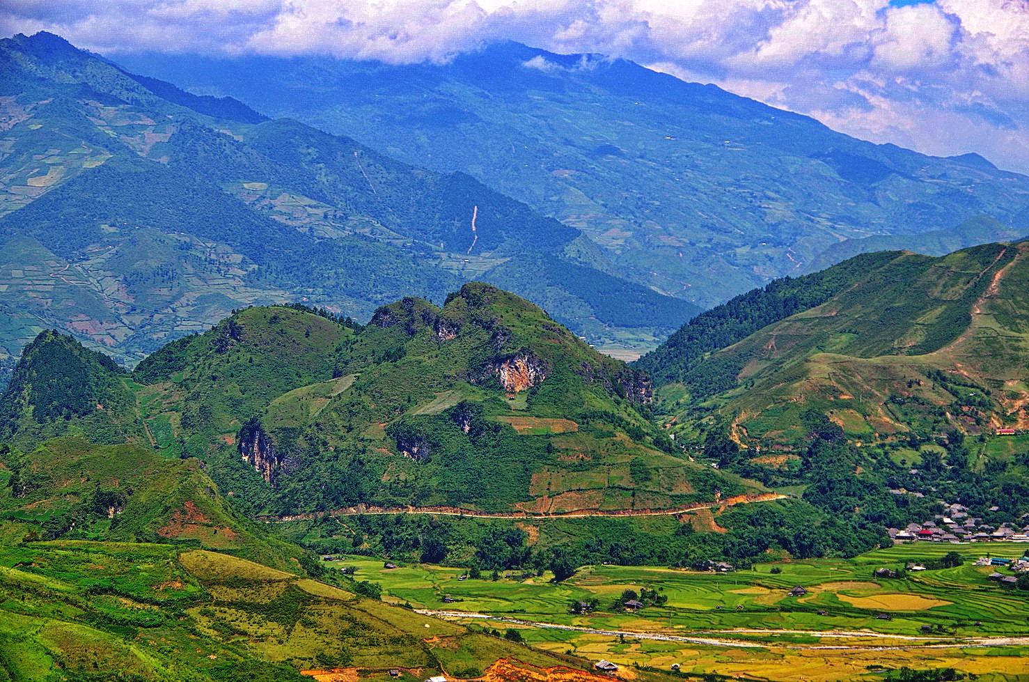 IMGP4497.JPG