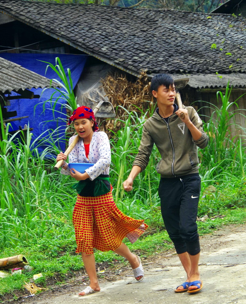 IMGP4656.JPG