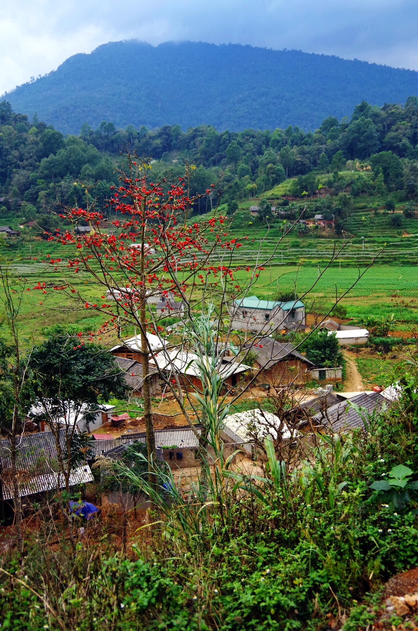 IMGP4743.JPG