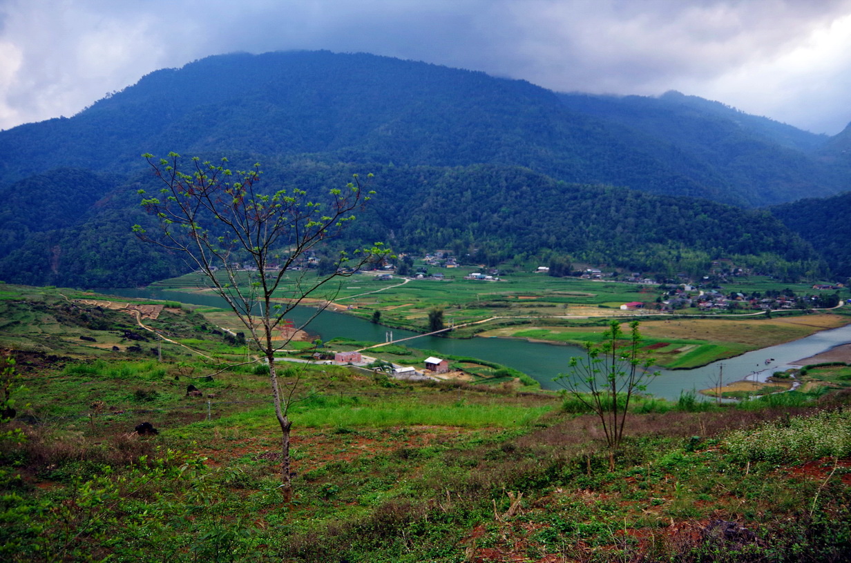 IMGP4744.JPG