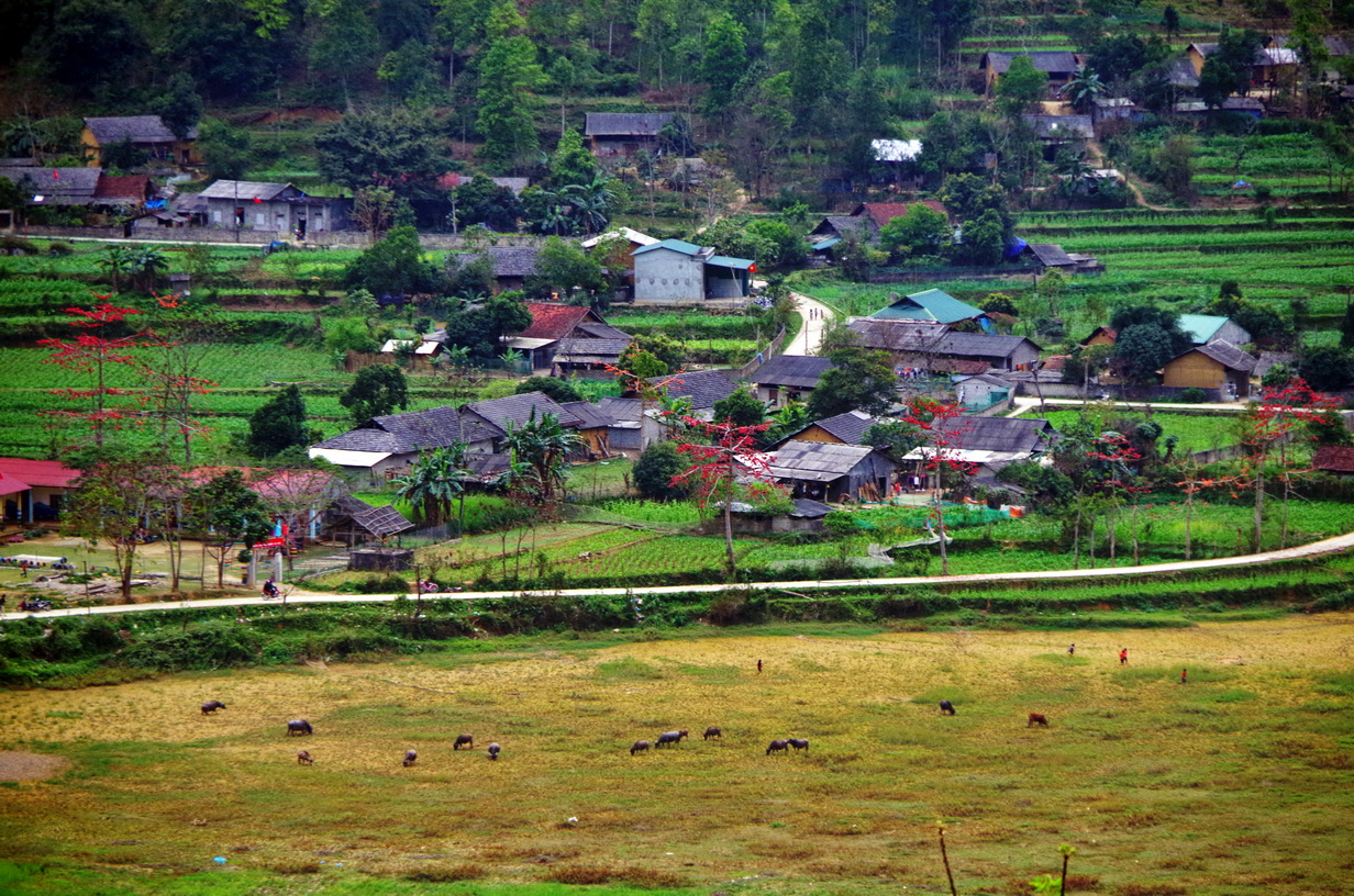 IMGP4793.JPG