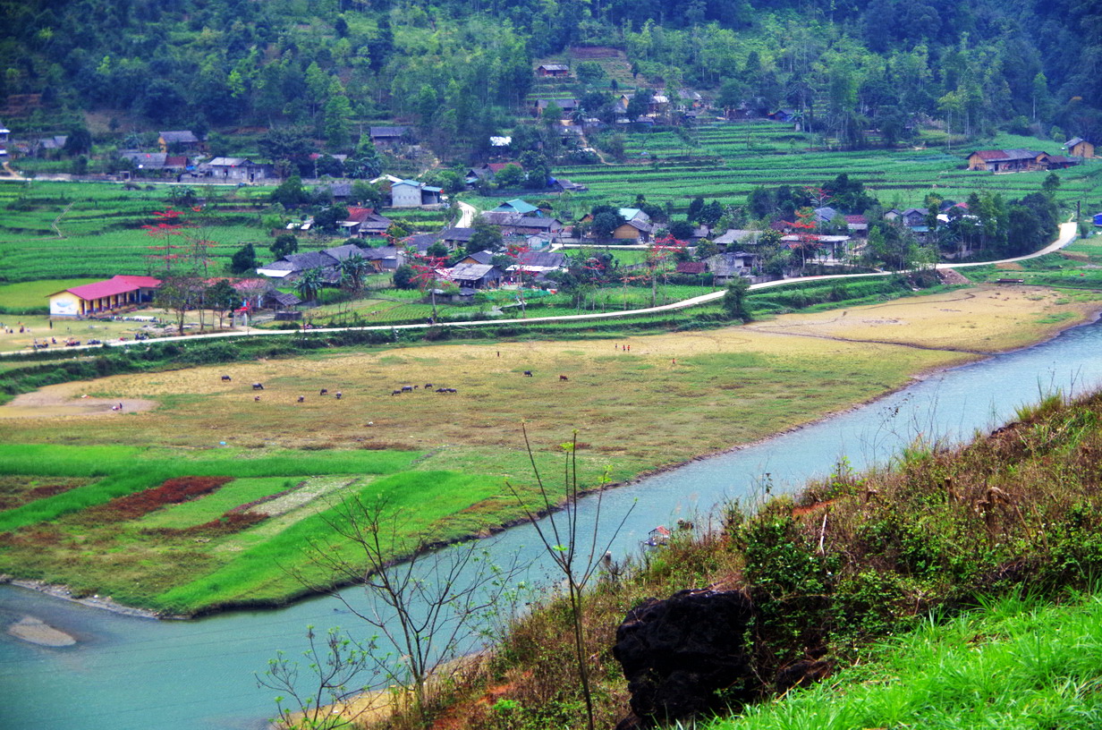 IMGP4794.JPG