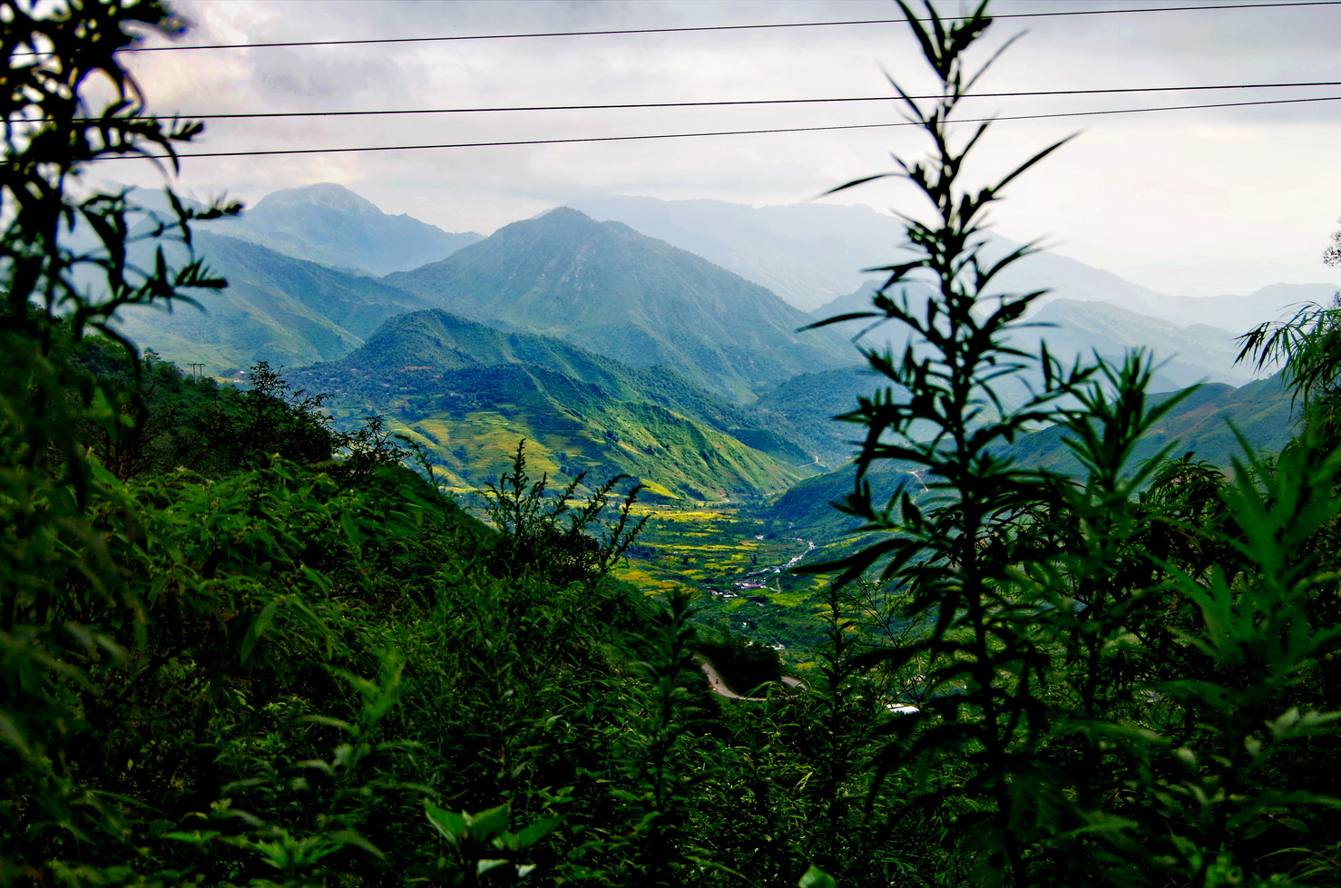 IMGP5872.JPG