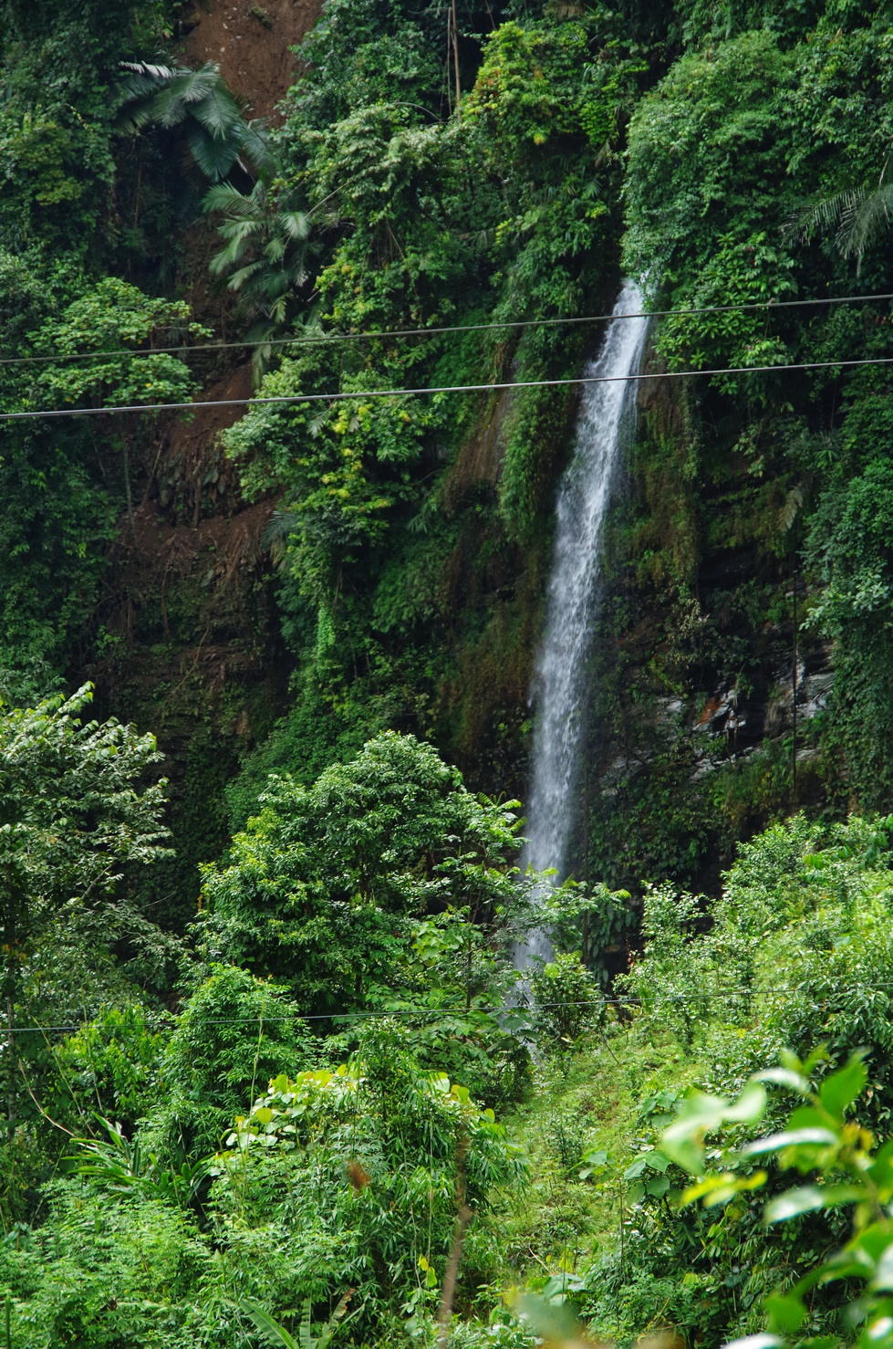 IMGP5936.JPG