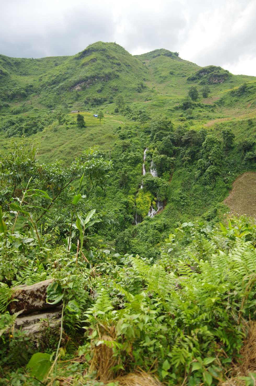 IMGP5938.JPG