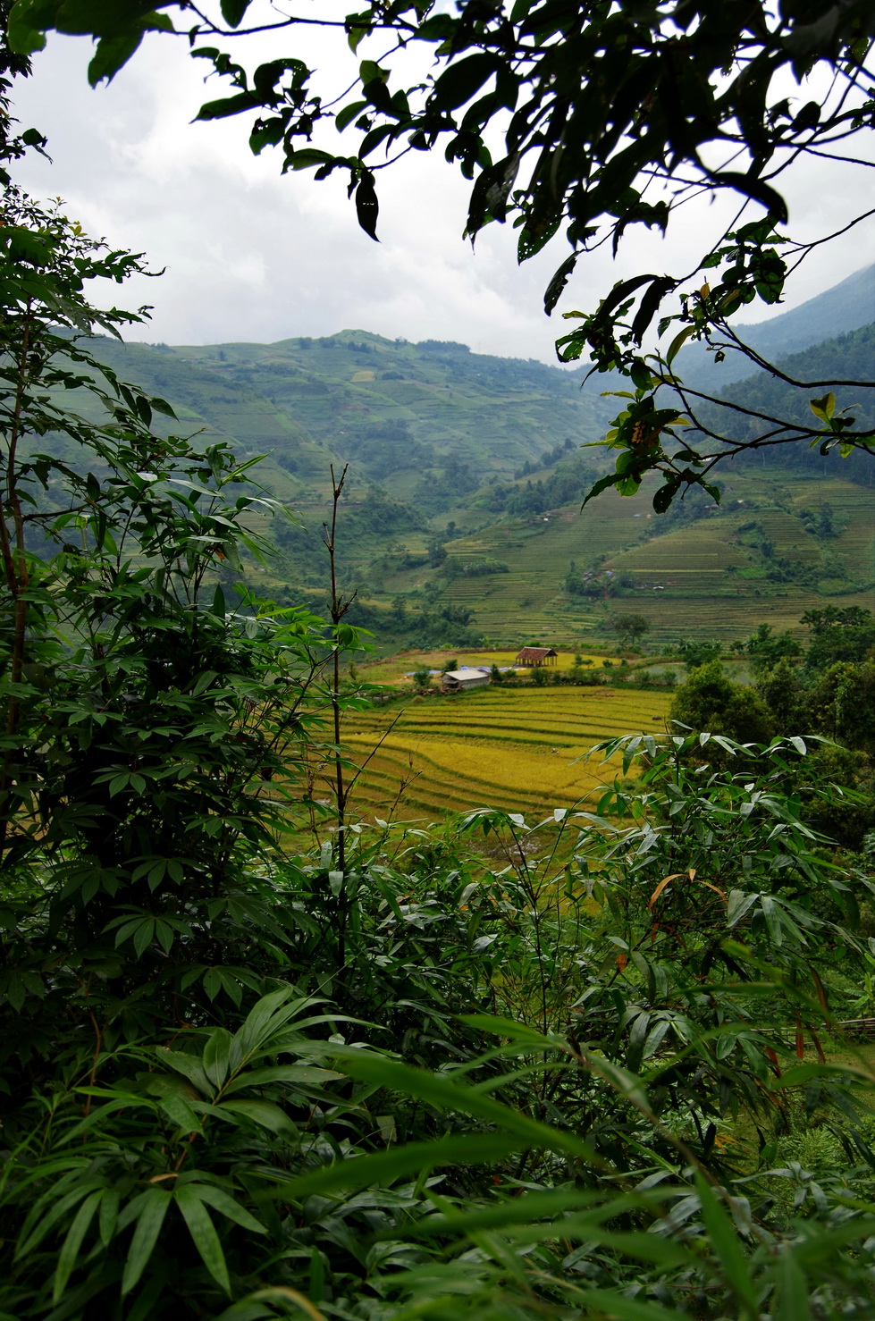 IMGP5963.JPG