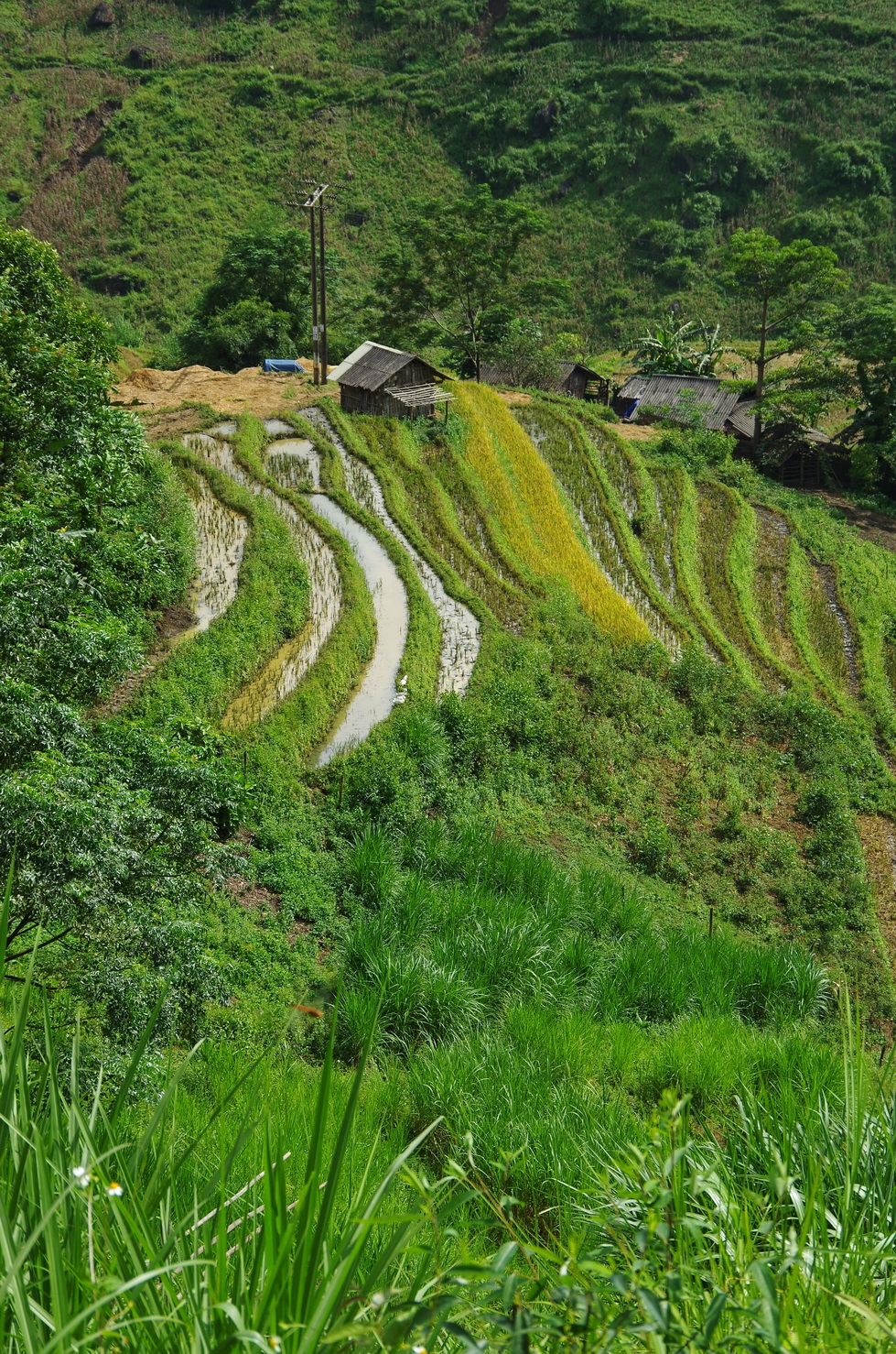 IMGP5983.JPG