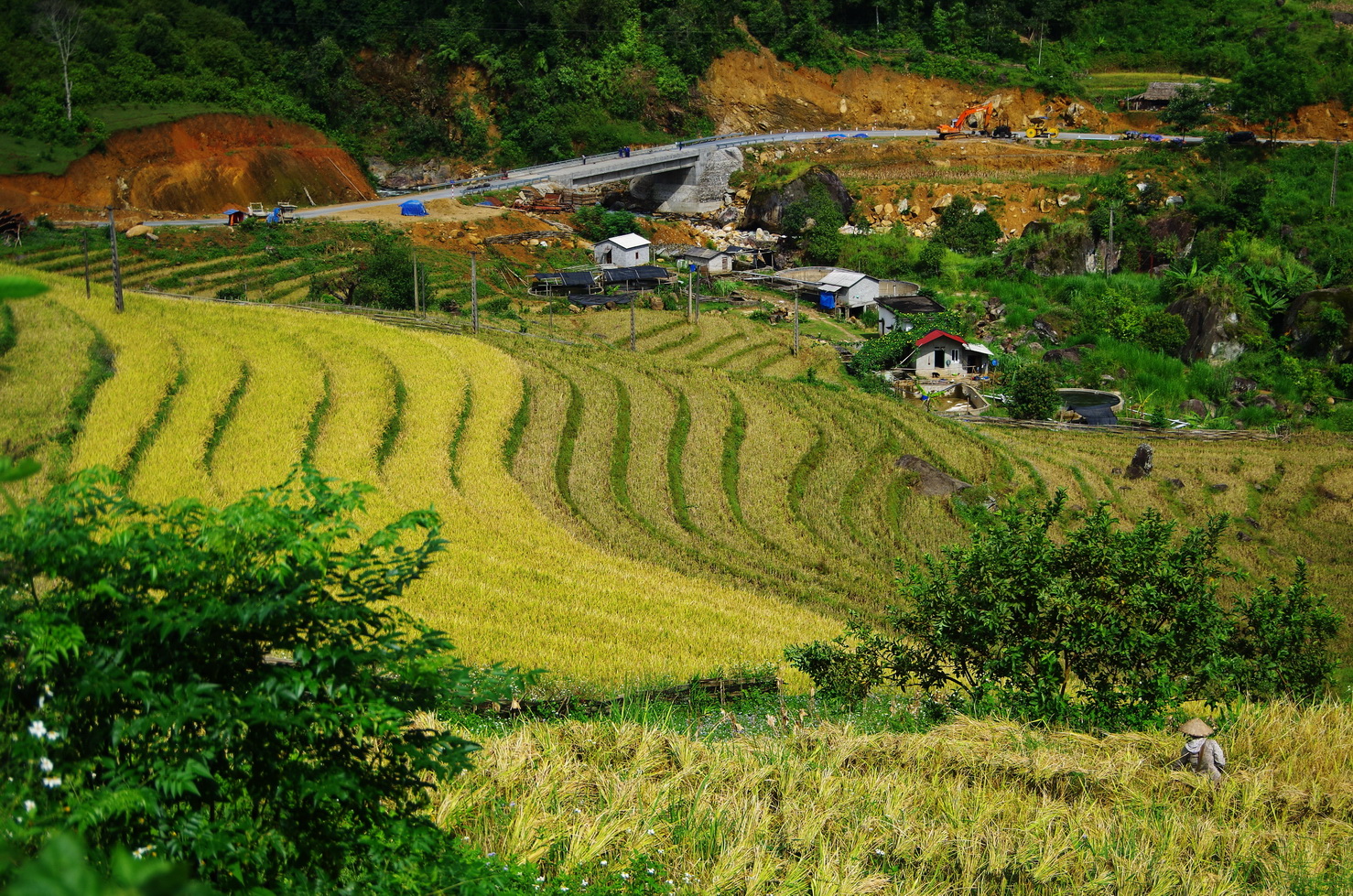 IMGP6012.JPG
