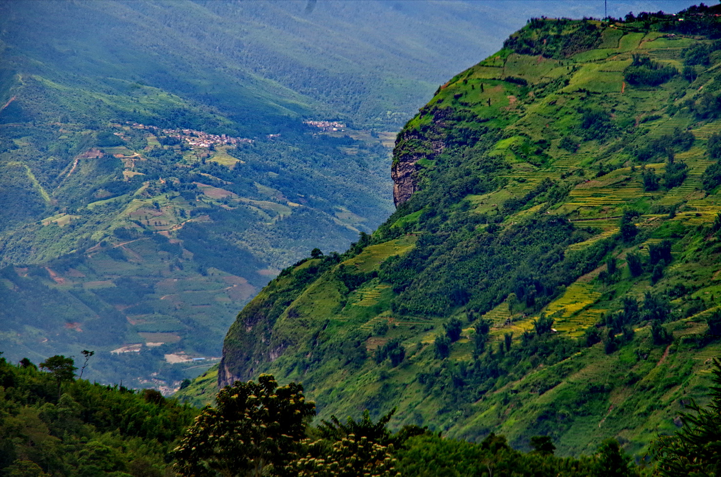 IMGP6128.JPG