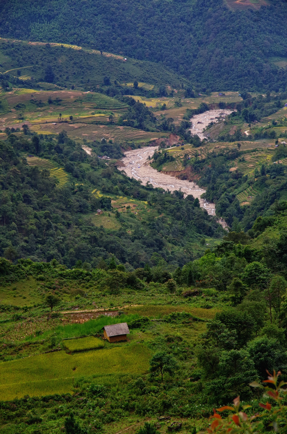 IMGP6131.JPG