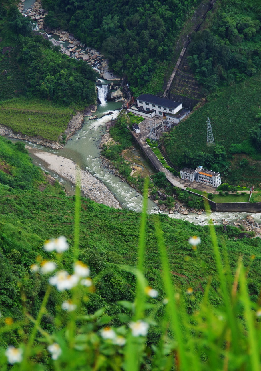 IMGP6319.JPG