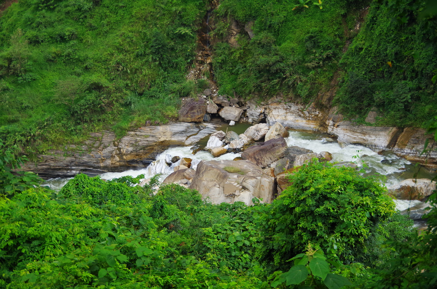 IMGP6440.JPG