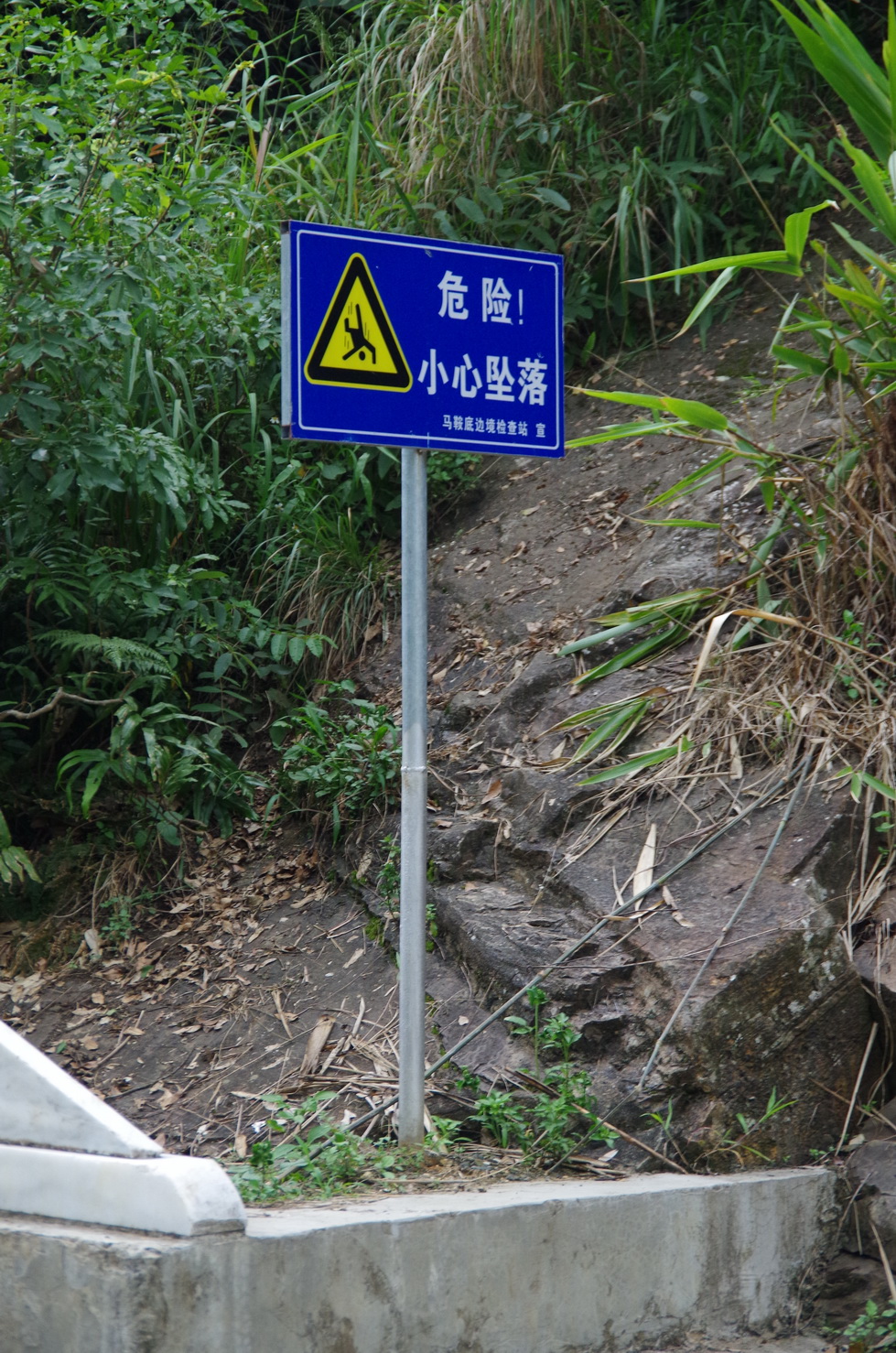 IMGP6441.JPG