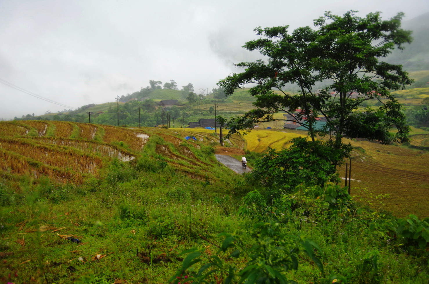 IMGP6566.JPG