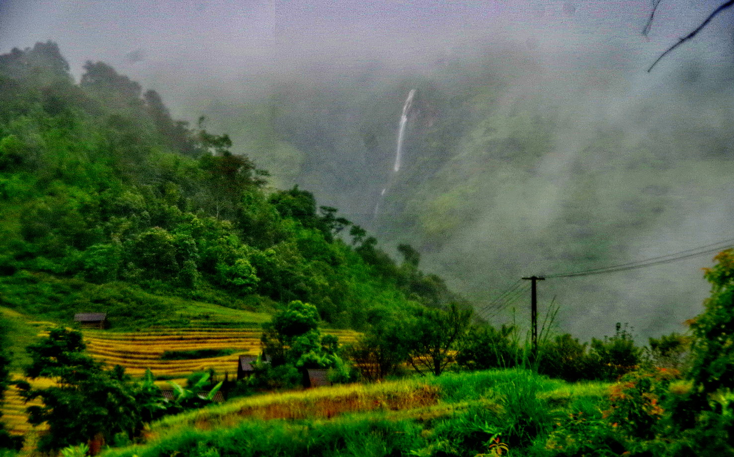 IMGP6591.JPG