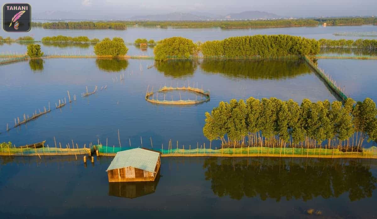 kham-pha-dam-thi-nai-min-min.jpg