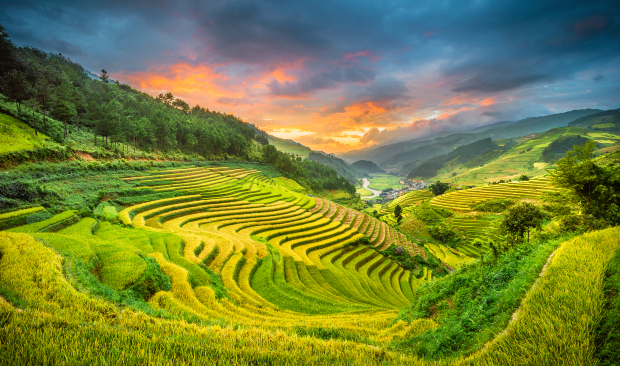 kinh-nghiem-du-lich-sapa-mua-lua-chin-2.jpg