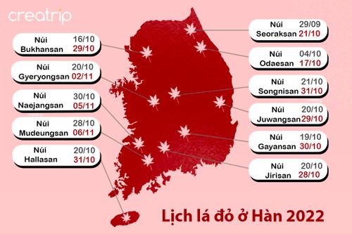 lichlado.jpg