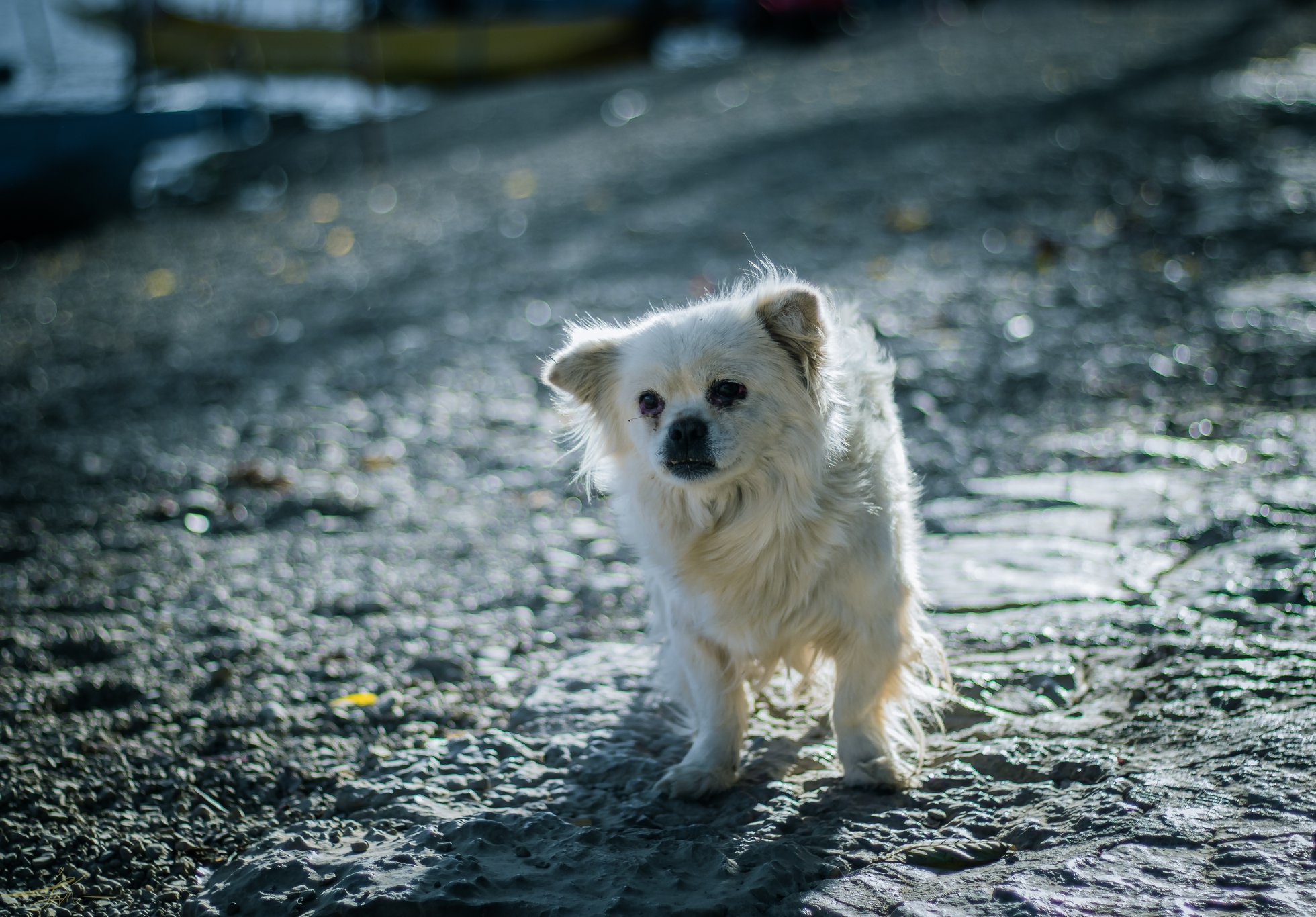 Lugu (10).jpg