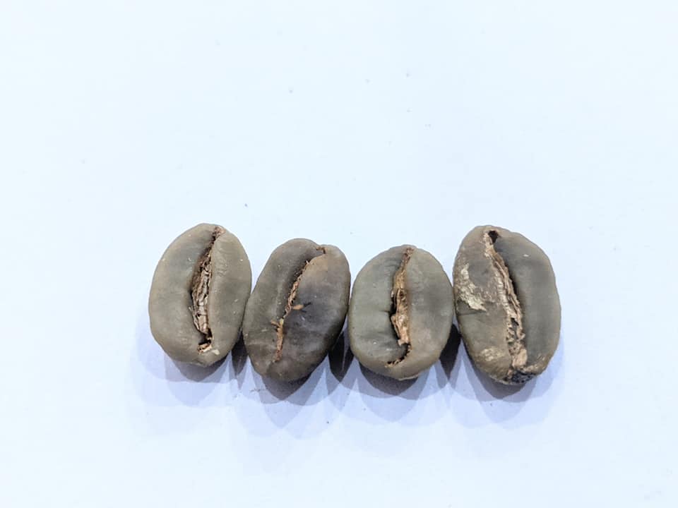 Moka Red Bourbon nhan.jpg