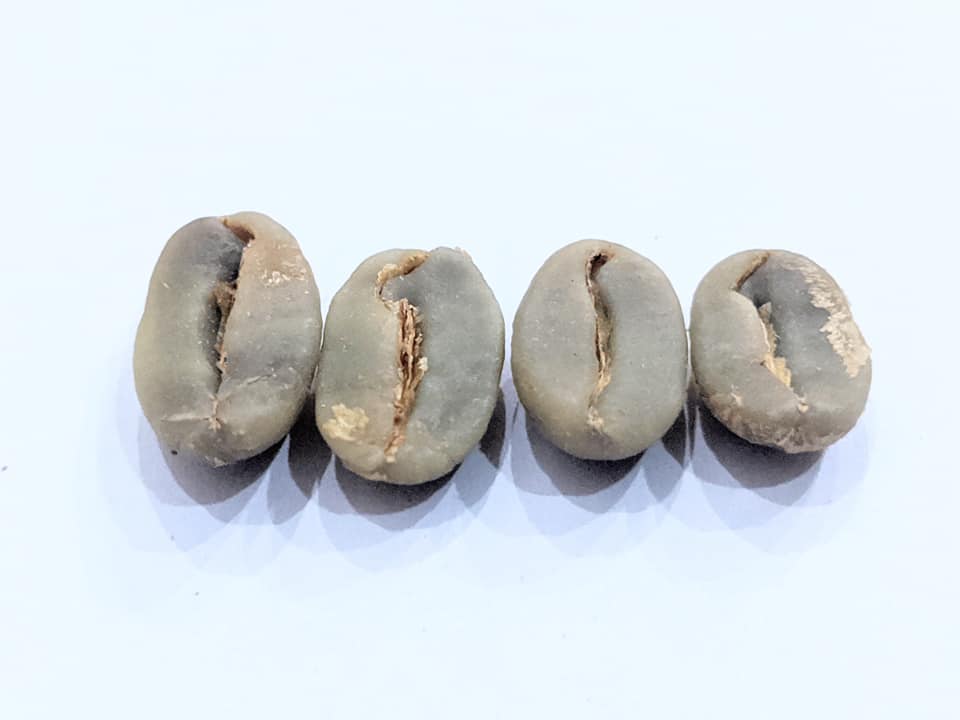 Moka Typica nhan.jpg