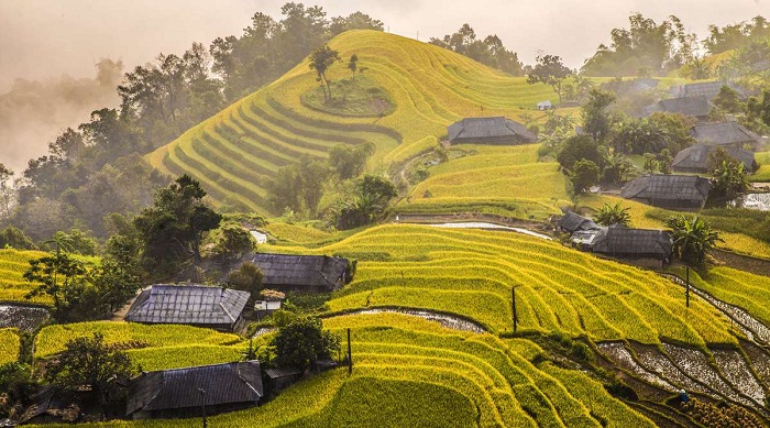 mua-lua-chin-ha-giang.jpg