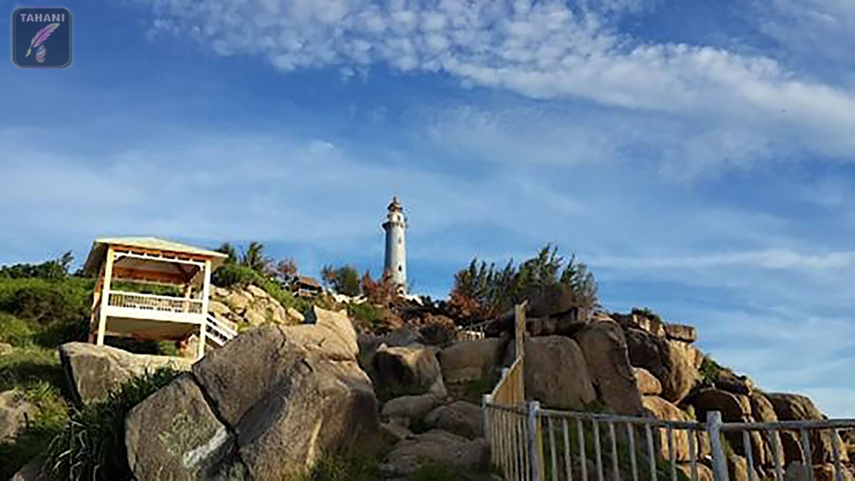 mui-dai-lanh-min.jpg