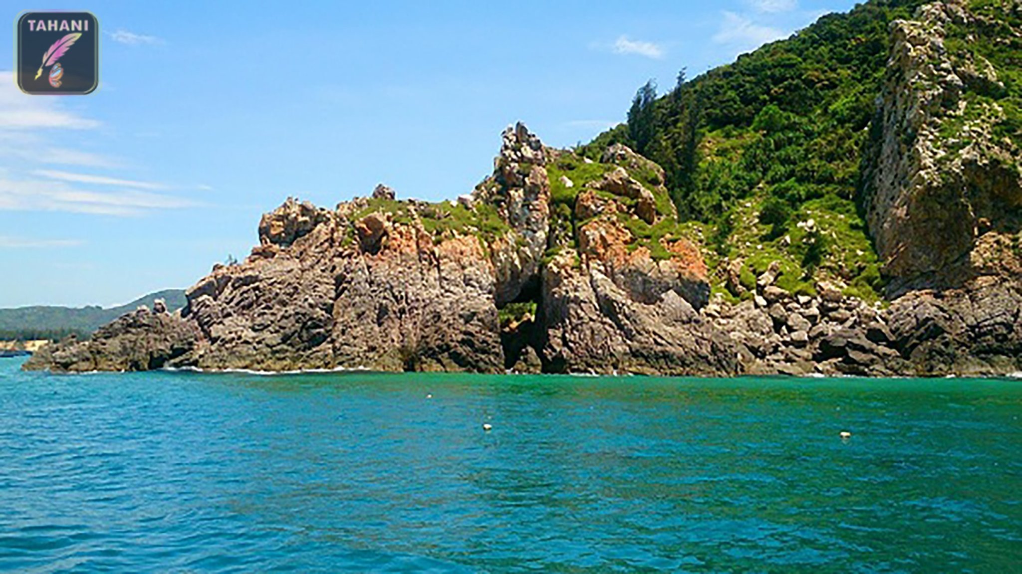 mui-vi-rong-o-dau (1)-min.jpg