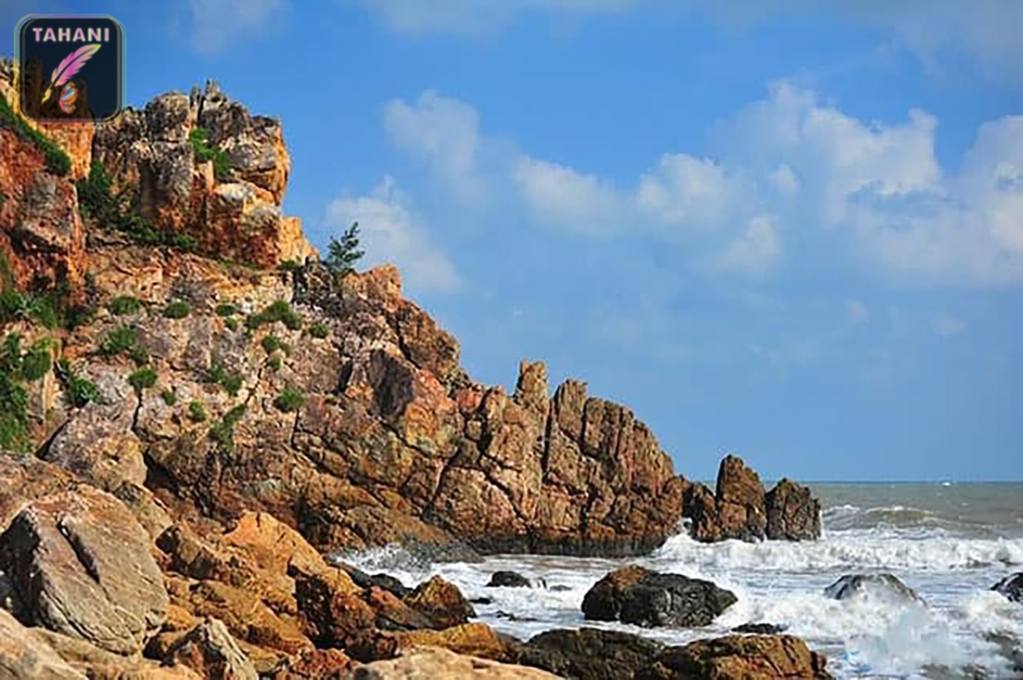 mui-vi-rong-quy-nhon-min.jpg