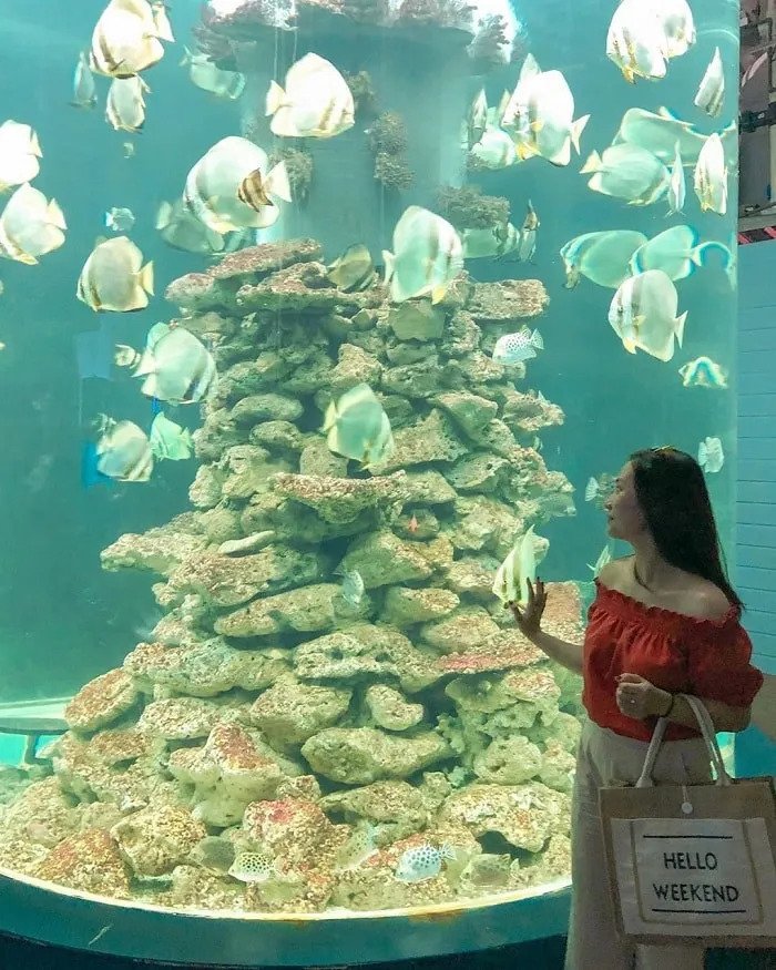 nha-tho-da-nha-trang-2.jpg
