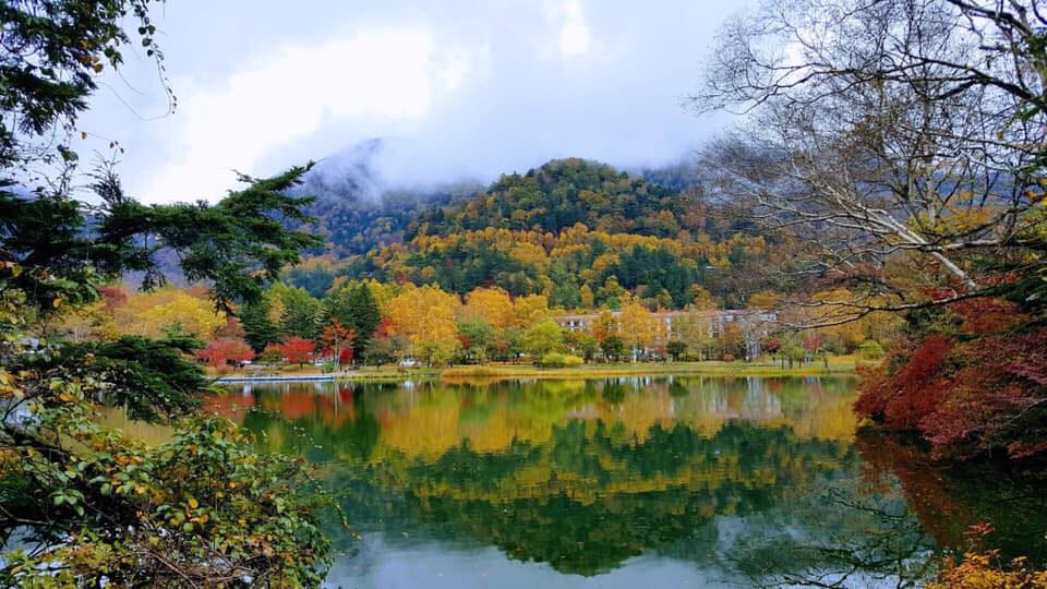 Nhat nikko.jpg