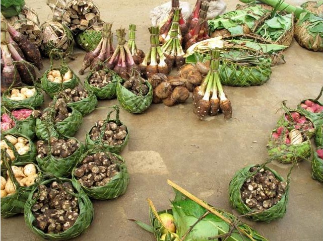 nong-san-Vanuatu.jpg