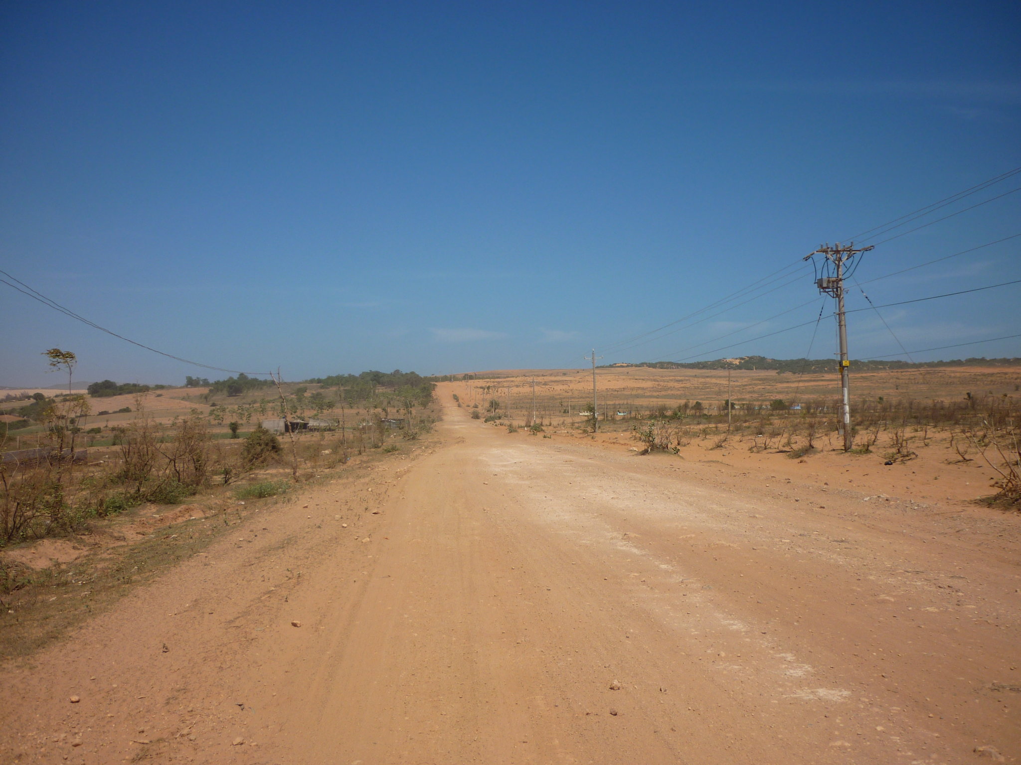 P1000920.JPG