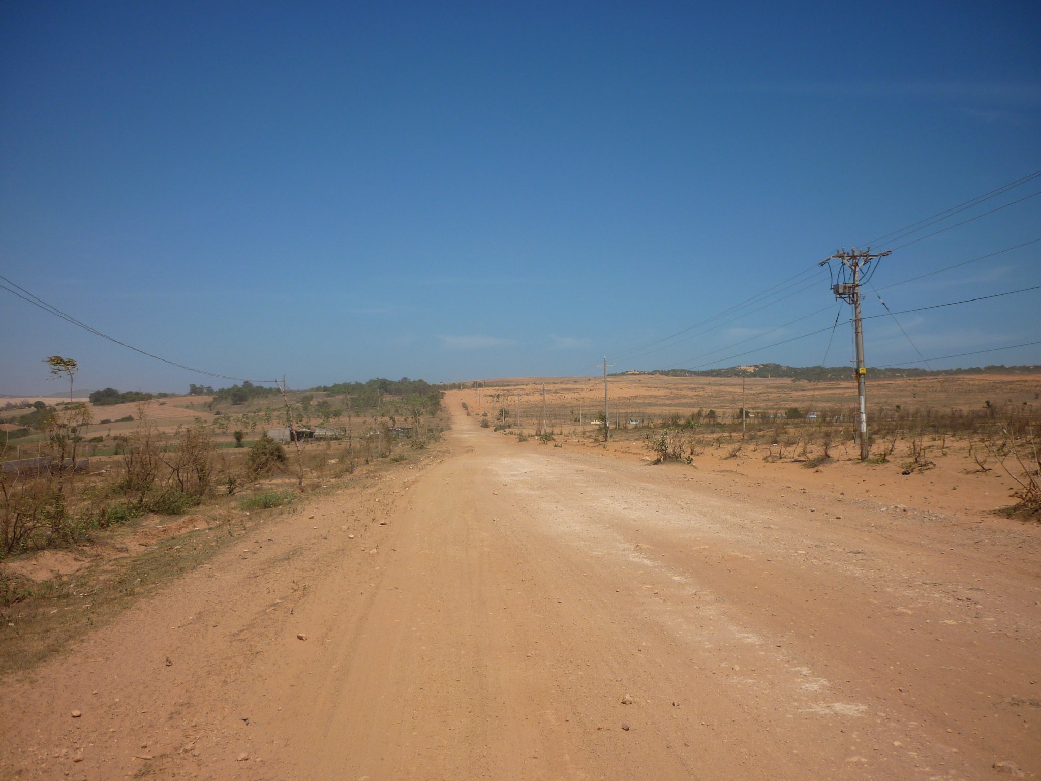 P1000920.JPG