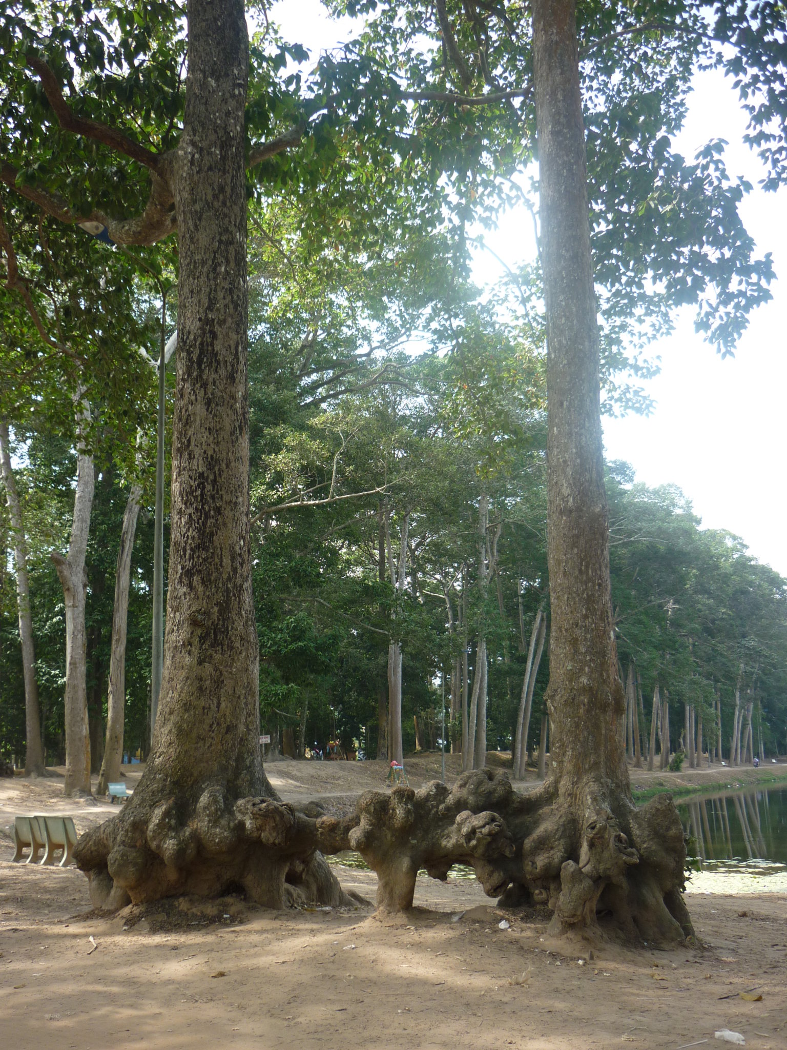 P1030933.JPG