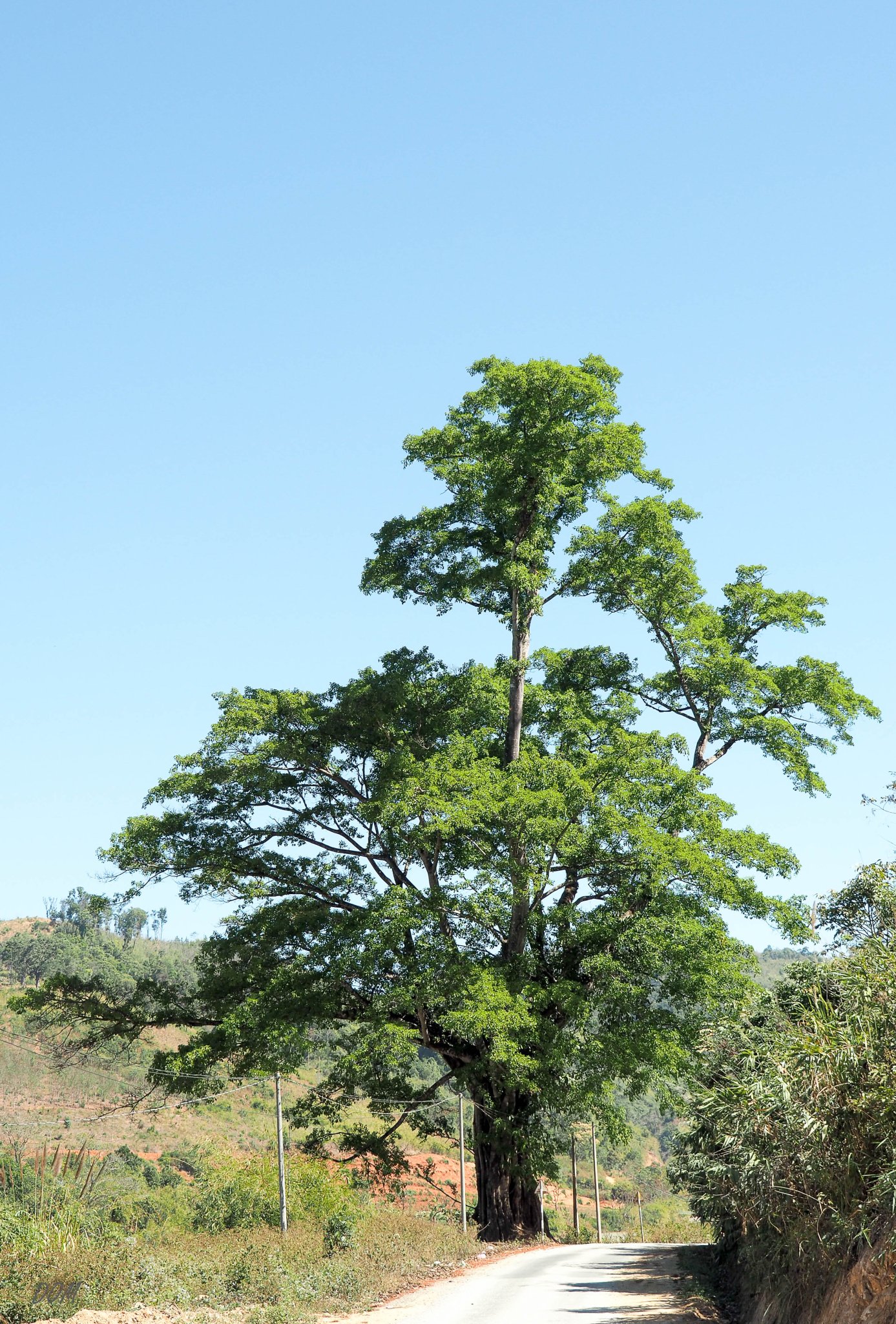 P1200058.jpg