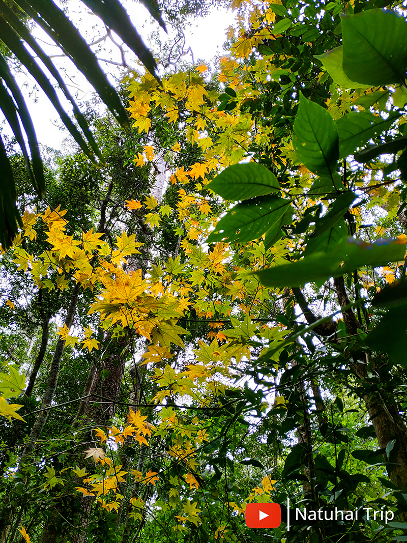 P_20201206_105134.jpg