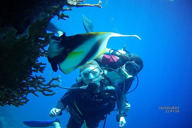reef.jpg