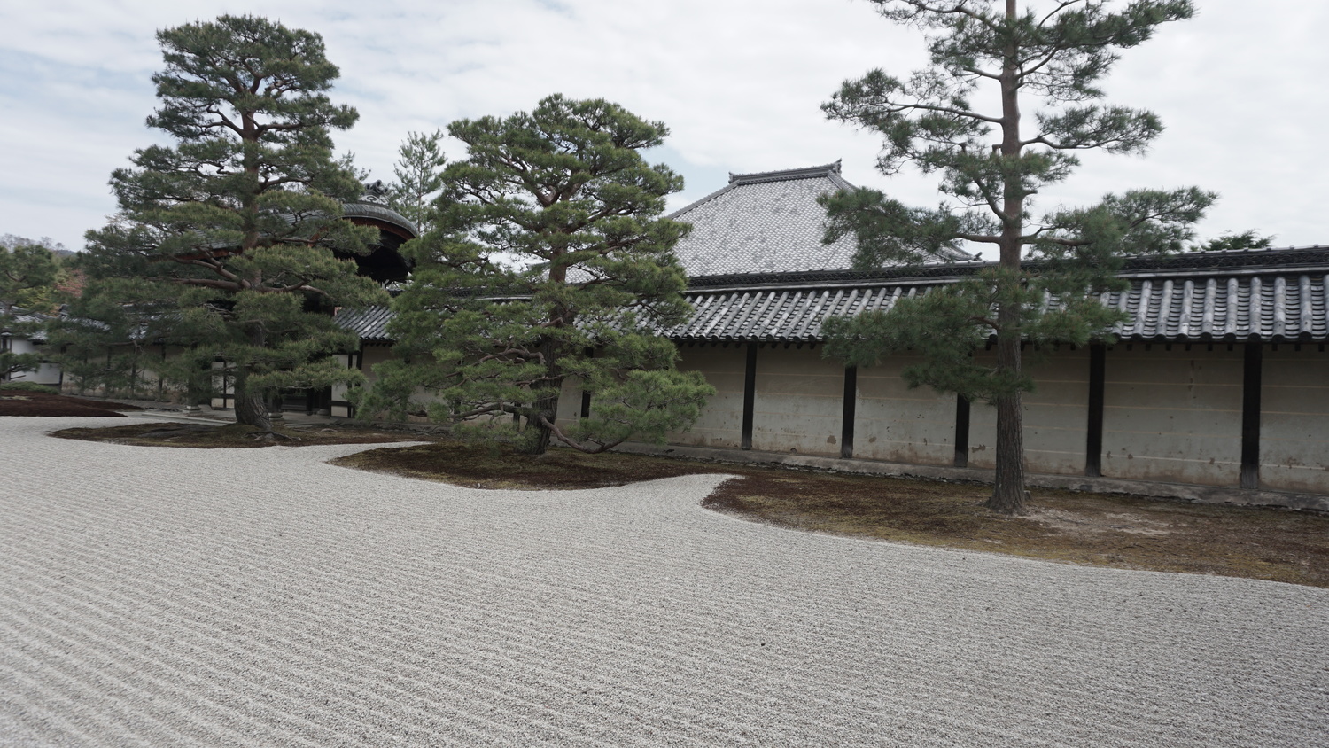 rsz_dsc09366.jpg