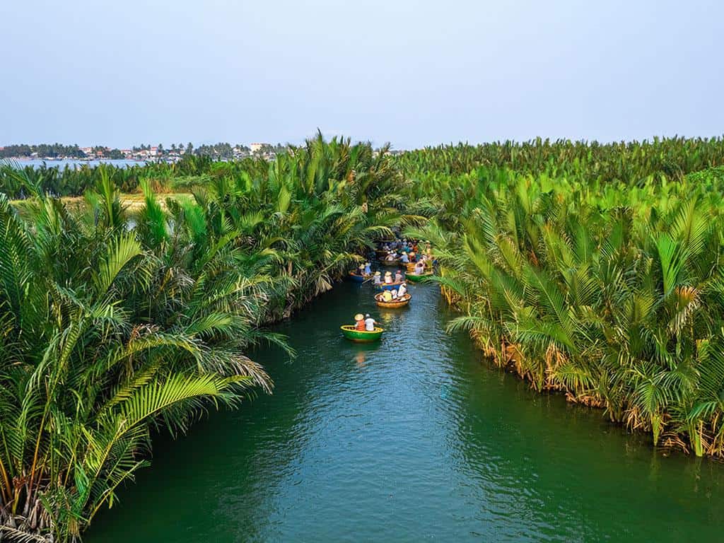 rung-dua-bay-mau-hoi-an.jpg